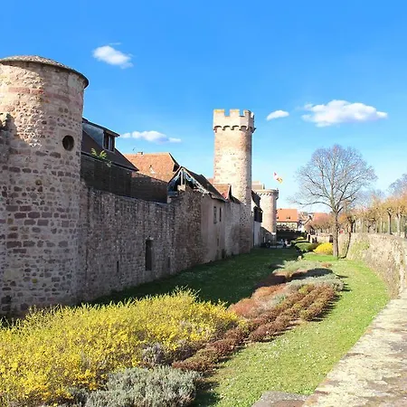 Vvf Plaine D'alsace Strasbourg Semesterpark Obernai