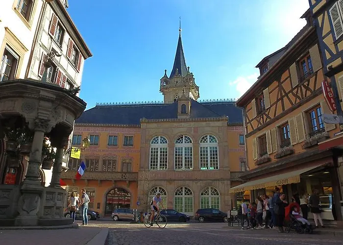 Vvf Plaine D'alsace Strasbourg 3* オベルネ