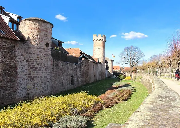 Vvf Plaine D'alsace Strasbourg Vakantiepark Obernai