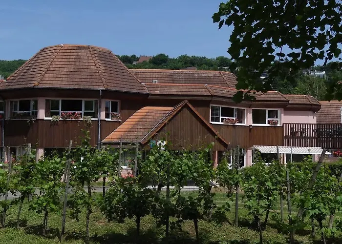 Vvf Plaine D'alsace Strasbourg オベルネ