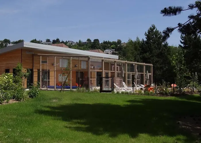 Vvf Plaine D'alsace Strasbourg オベルネ